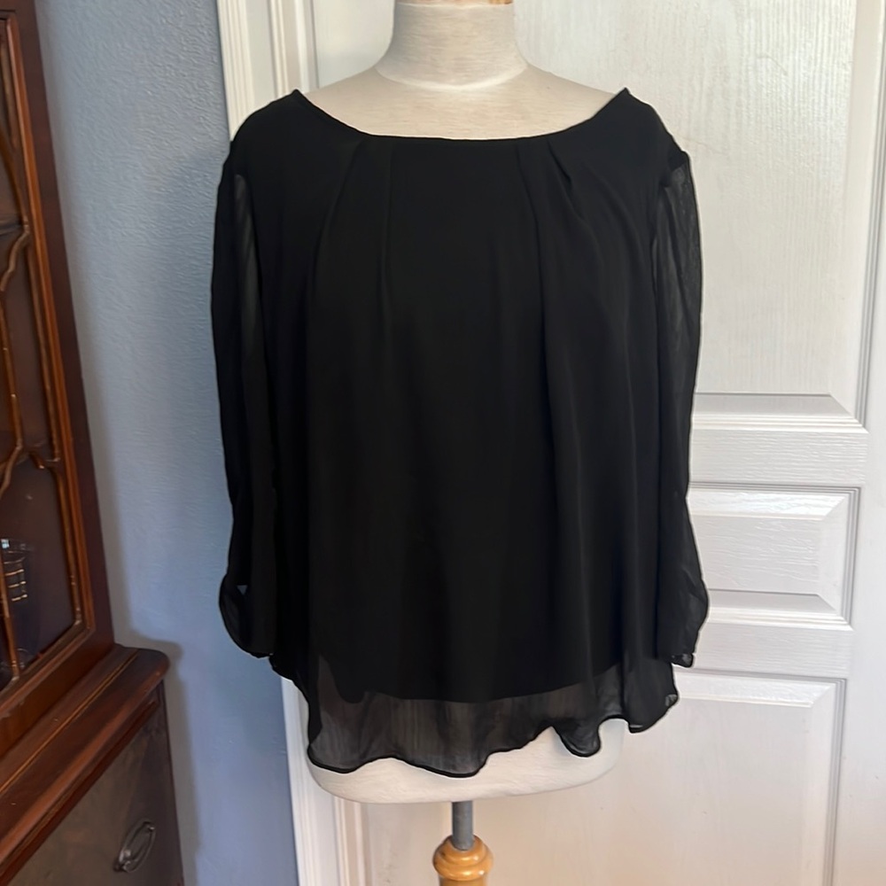 Roz and Ali sheer lined black 2X blouse